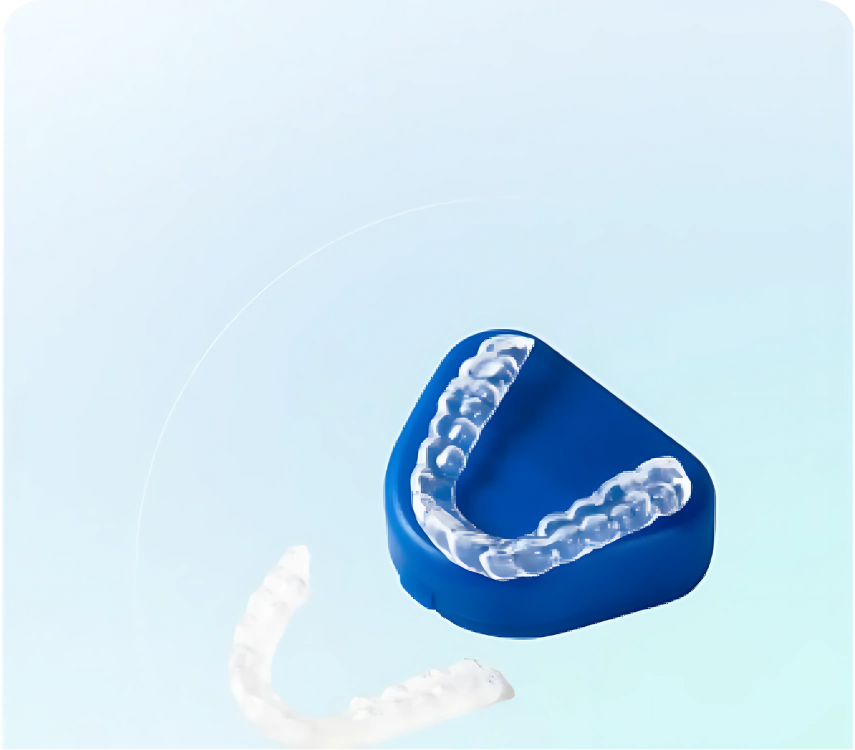 Artificial teeth model showing full dentures for jaw